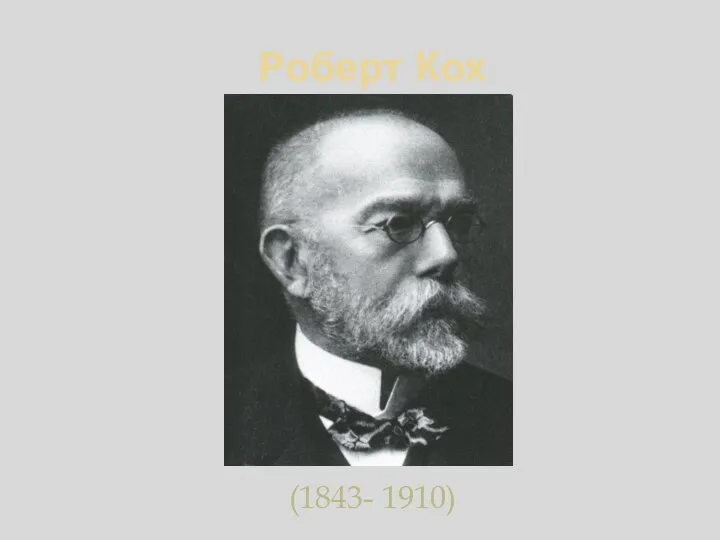 Роберт Кох (1843- 1910)