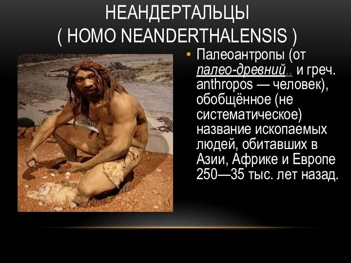 НЕАНДЕРТАЛЬЦЫ ( HOMO NEANDERTHALENSIS ) Палеоантропы (от палео-древний.. и греч. anthropos —