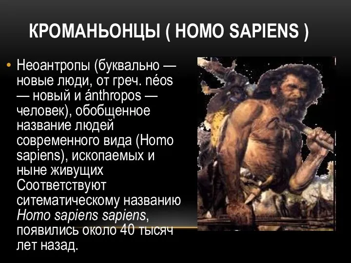 КРОМАНЬОНЦЫ ( HOMO SAPIENS ) Неоантропы (буквально — новые люди, от греч.