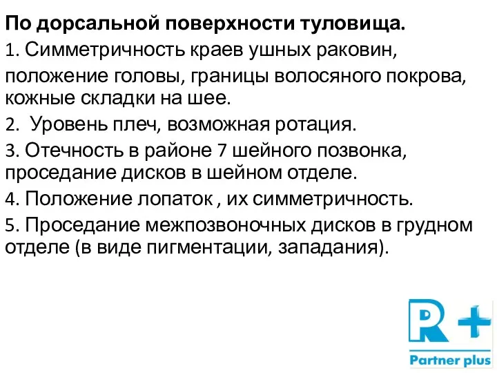 По дорсальной поверхности туловища. 1. Симметричность краев ушных раковин, положение головы, границы