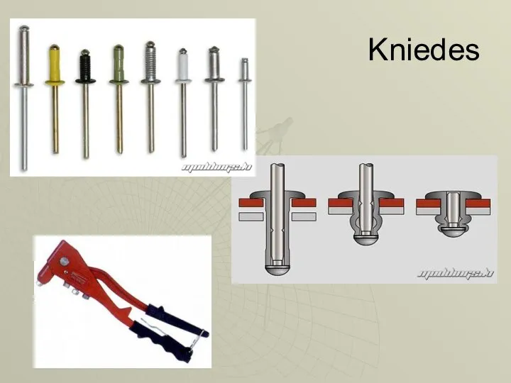 Kniedes