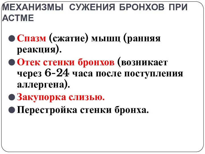 МЕХАНИЗМЫ СУЖЕНИЯ БРОНХОВ ПРИ АСТМЕ Спазм (сжатие) мышц (ранняя реакция). Отек стенки