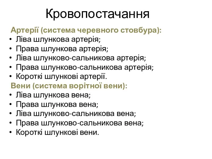 Кровопостачання Артерії (система черевного стовбура): Ліва шлункова артерія; Права шлункова артерія; Ліва