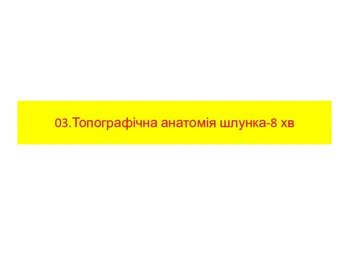 03.Топографічна анатомія шлунка-8 хв