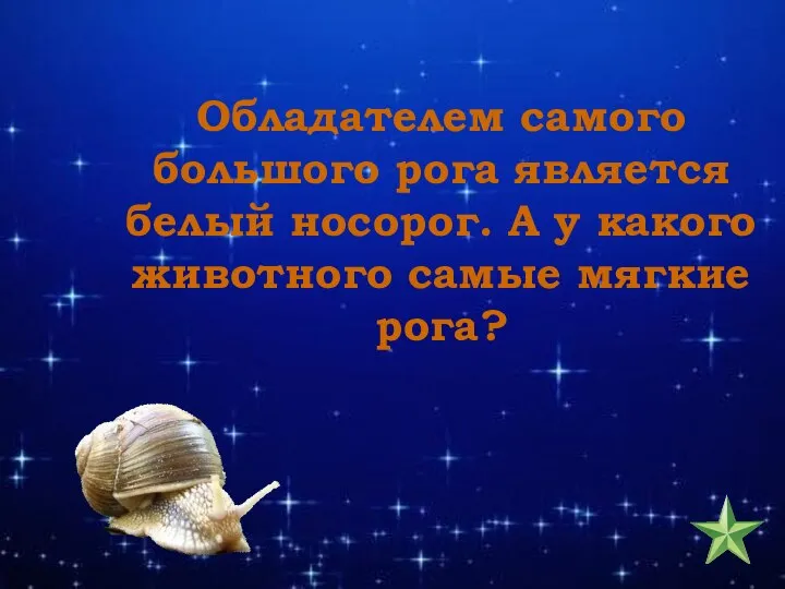 Обладателем самого большого рога является белый носорог. А у какого животного самые мягкие рога?