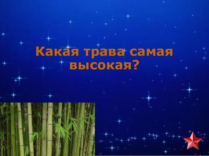 Какая трава самая высокая?