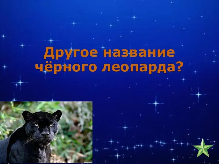 Другое название чёрного леопарда?