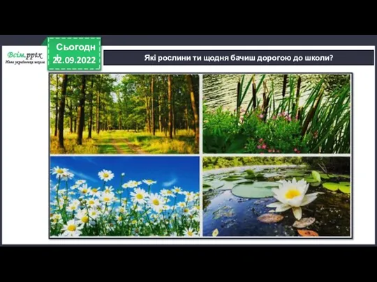 22.09.2022 Сьогодні Які рослини ти щодня бачиш дорогою до школи?