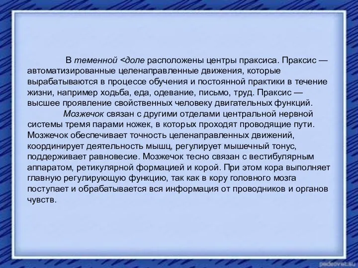 В теменной Мозжечок связан с другими отделами центральной нервной системы тремя парами