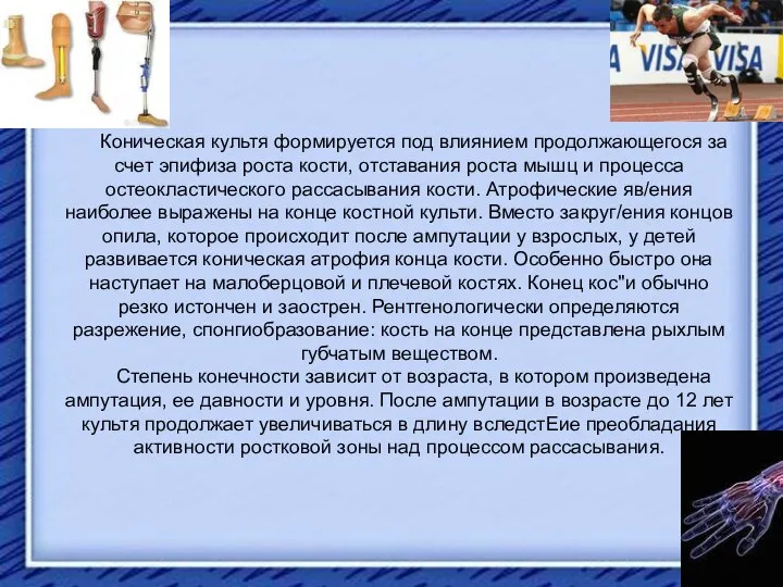 Коническая культя формируется под влиянием продолжающегося за счет эпифиза роста кости, отставания