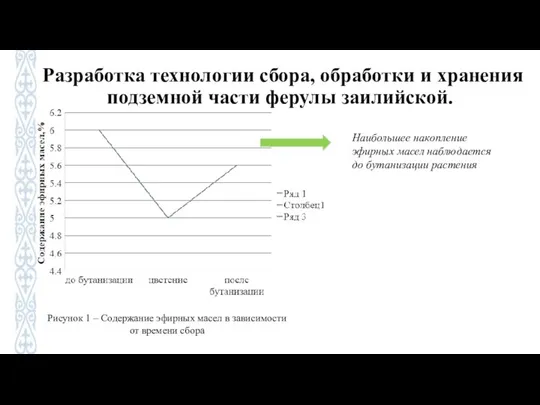 Разработка технологии сбора, обработки и хранения подземной части ферулы заилийской. Рисунок 1