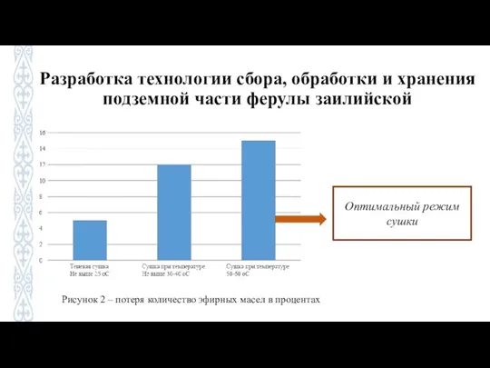 Разработка технологии сбора, обработки и хранения подземной части ферулы заилийской Рисунок 2