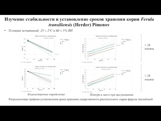 Изучение стабильности и установление сроков хранения корни Ferula transiliensis (Herder) Pimenov Условиях