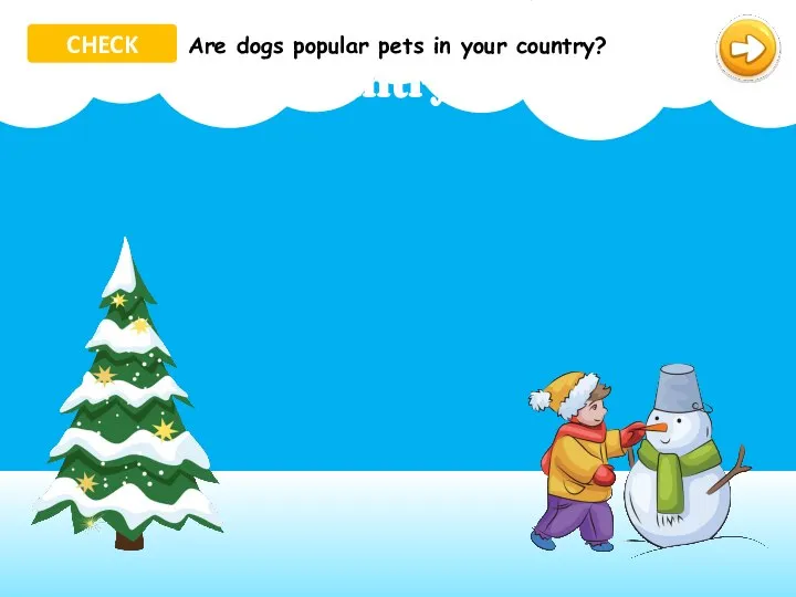 in your country? Are pets popular dogs Are dogs popular pets in your country? CHECK