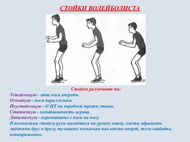 СТОЙКИ ВОЛЕЙБОЛИСТА Стойки различают на: Устойчивую - одна нога впереди. Основную -