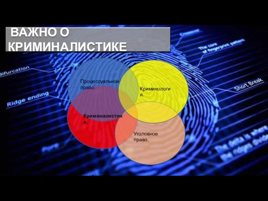 Процессуальное право. Криминология. Уголовное право. Криминалистика. ВАЖНО О КРИМИНАЛИСТИКЕ