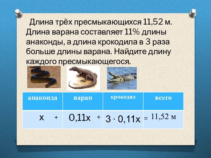 Длина трёх пресмыкающихся 11,52 м. Длина варана составляет 11% длины анаконды, а