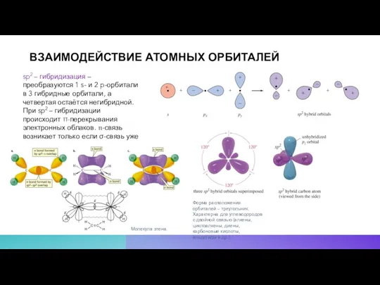 ВЗАИМОДЕЙСТВИЕ АТОМНЫХ ОРБИТАЛЕЙ sp2 – гибридизация – преобразуются 1 s- и 2