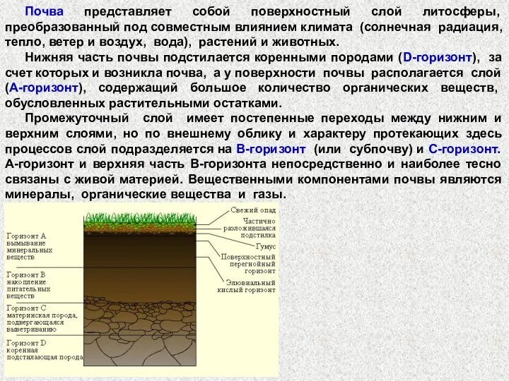 Почва представляет собой поверхностный слой литосферы, преобразованный под совместным влиянием климата (солнечная