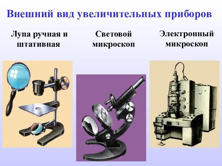 Лупа ручная и штативная Световой микроскоп Электронный микроскоп Внешний вид увеличительных приборов