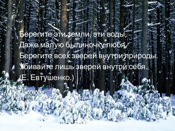 Берегите эти земли, эти воды, Даже малую былиночку любя, Берегите всех зверей