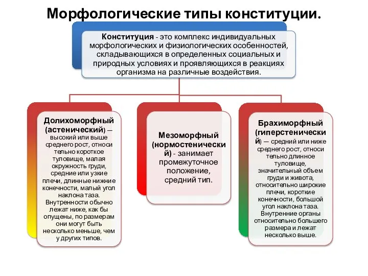 Морфологические типы конституции.