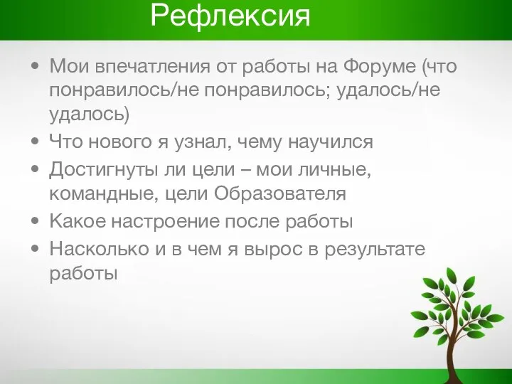 Рефлексия Мои впечатления от работы на Форуме (что понравилось/не понравилось; удалось/не удалось)