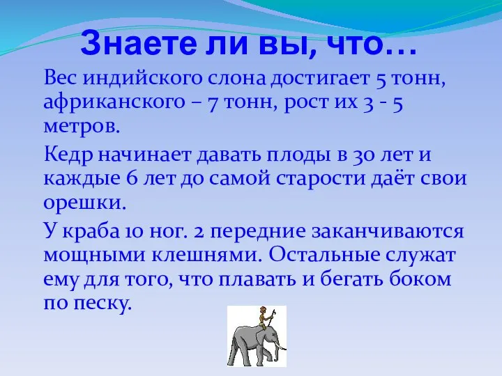 Знаете ли вы, что… Вес индийского слона достигает 5 тонн, африканского –