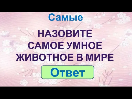 Самые НАЗОВИТЕ САМОЕ УМНОЕ ЖИВОТНОЕ В МИРЕ Ответ