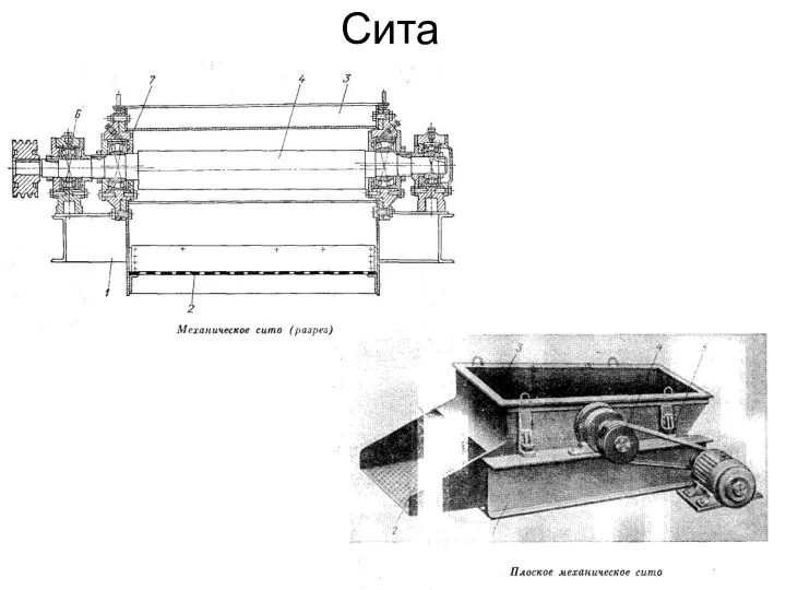 Сита