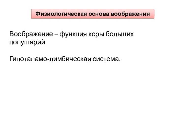 Физиологическая основа воображения Воображение – функция коры больших полушарий Гипоталамо-лимбическая система.