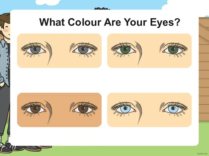 What Colour Are Your Eyes?