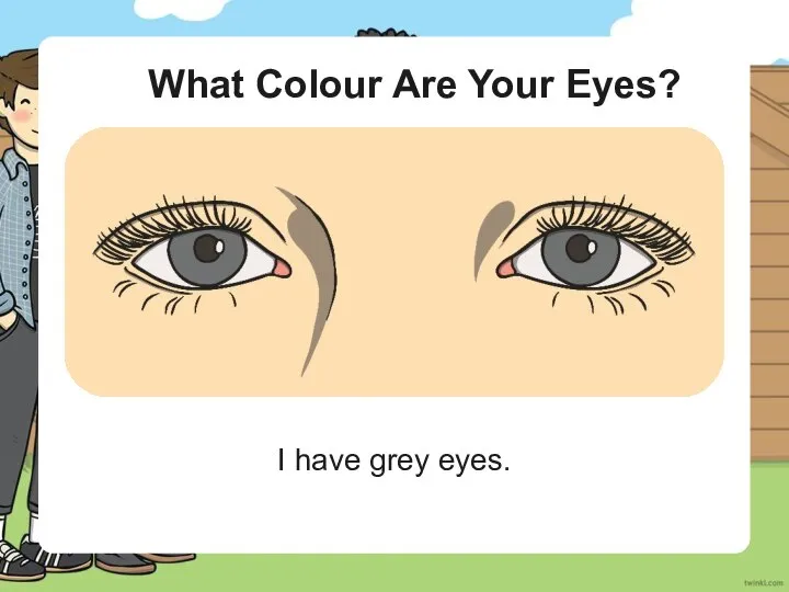 What Colour Are Your Eyes? I have grey eyes.