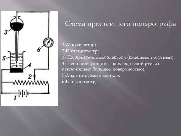 1)Аккумулятор; 2)Потенциометр; 3) Поляризующийся электрод (капельный ртутный); 4) Неполяризующийся электрод (слой ртути