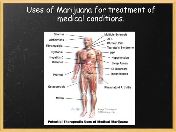 Uses of Marijuana for treatment of medical conditions.