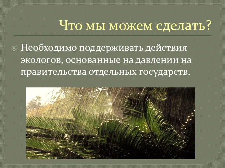 Что мы можем сделать? Необходимо поддерживать действия экологов, основанные на давлении на правительства отдельных государств.