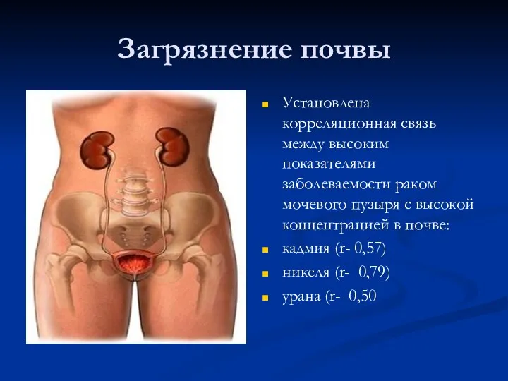 Загрязнение почвы Установлена корреляционная связь между высоким показателями заболеваемости раком мочевого пузыря