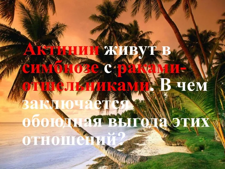 Актинии живут в симбиозе с раками-отшельниками. В чем заключается обоюдная выгода этих отношений?