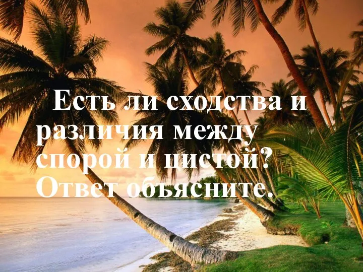 Есть ли сходства и различия между спорой и цистой? Ответ объясните.