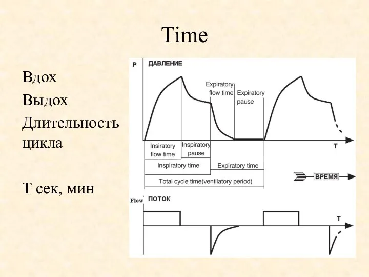 Time Вдох Выдох Длительность цикла T сек, мин