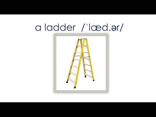 a ladder /ˈlæd.ər/