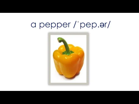 a pepper /ˈpep.ər/