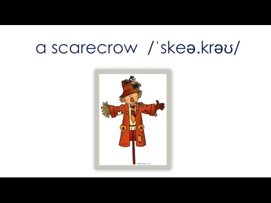 a scarecrow /ˈskeə.krəʊ/