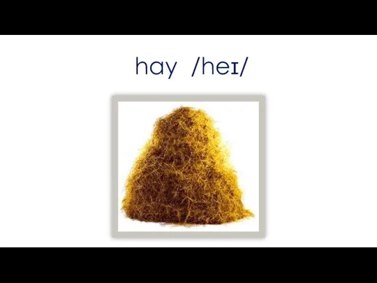 hay /heɪ/