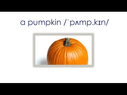 a pumpkin /ˈpʌmp.kɪn/