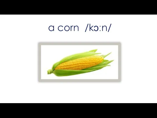 a corn /kɔːn/