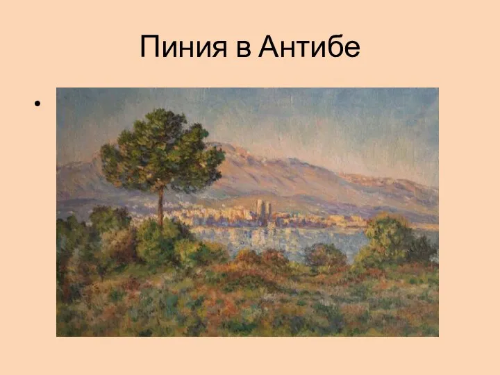 Пиния в Антибе