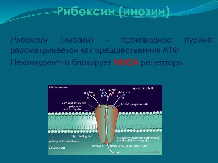 Рибоксин (инозин) Рибоксин (инозин) - производное пурина, рассматривается как предшественник АТФ. Неконкурентно блокирует NMDA рецепторы