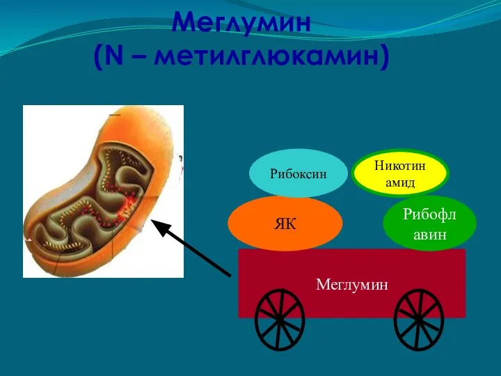 Меглумин (N – метилглюкамин)