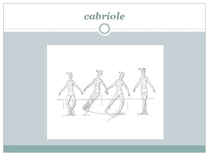 cabriole